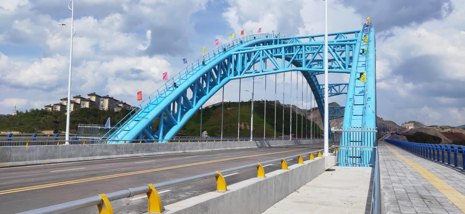 泰順縣天關(guān)山路（S228 省道-廊橋大道）道路、特大橋及引橋